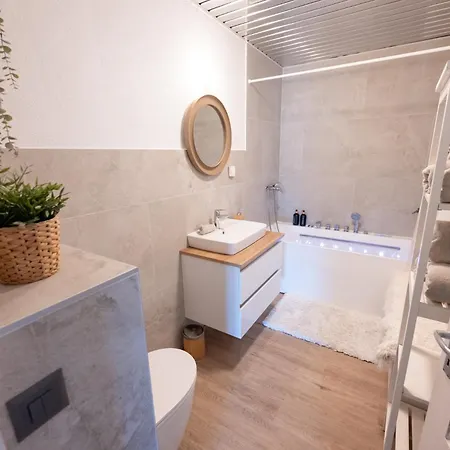Avec Terrasse Et Vue Alpine * לייסין