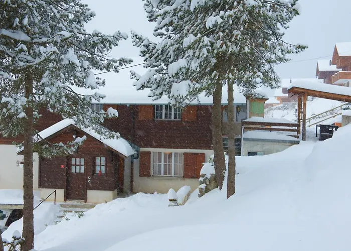 6 Personnes Avec Sauna *