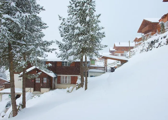 6 Personnes Avec Sauna * Leysin