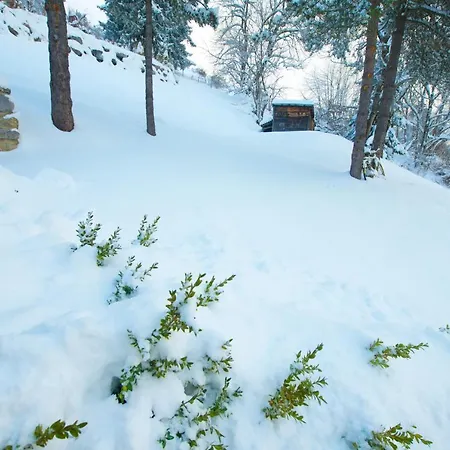 Lägenhet Avec Terrasse Et Vue Alpine *
